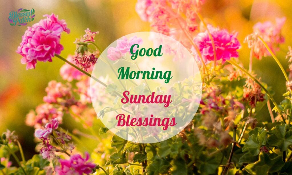Good Morning Sunday Blessings (1)