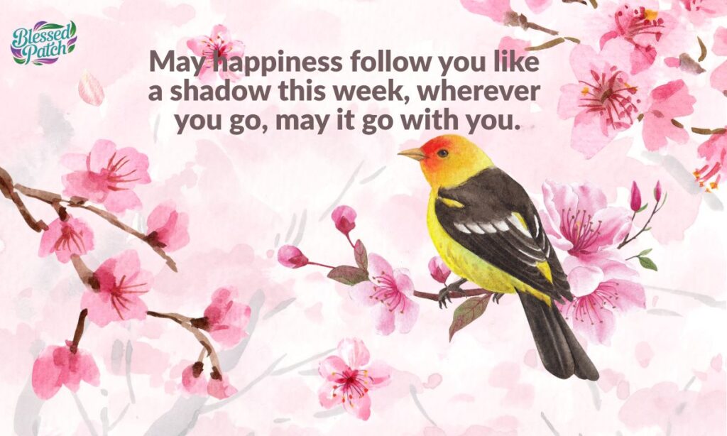 Happy New Week Blessings