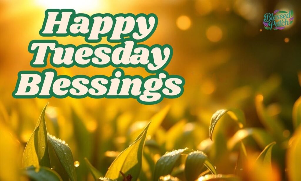 Happy Tuesday Blessings