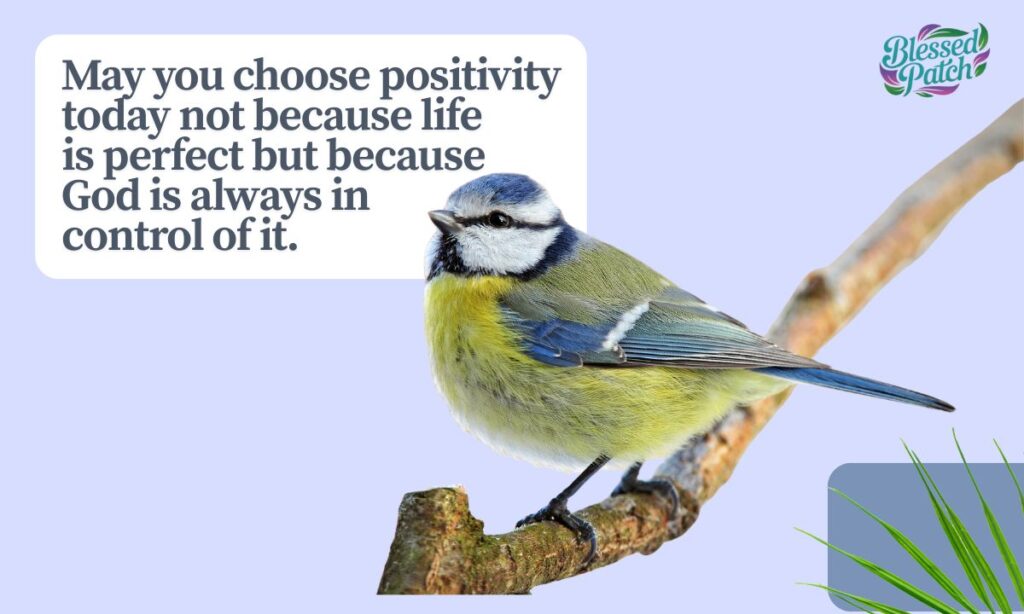 Positive Sunday Blessings