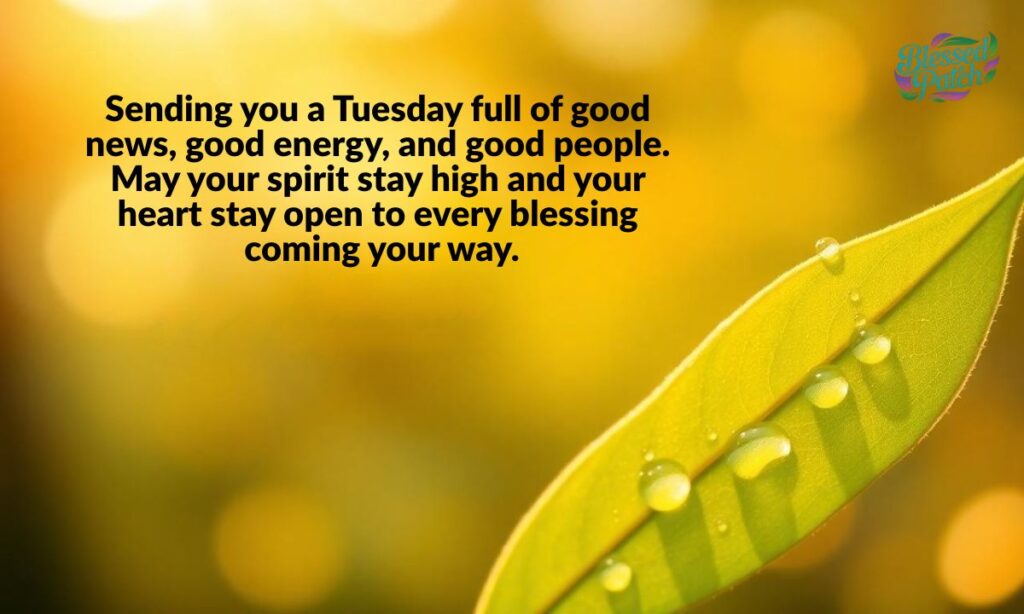 Positive Tuesday Messages to Uplift Your Spirit