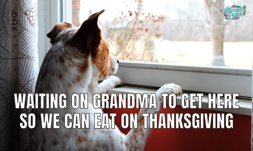 Funny Thanksgiving Wishes