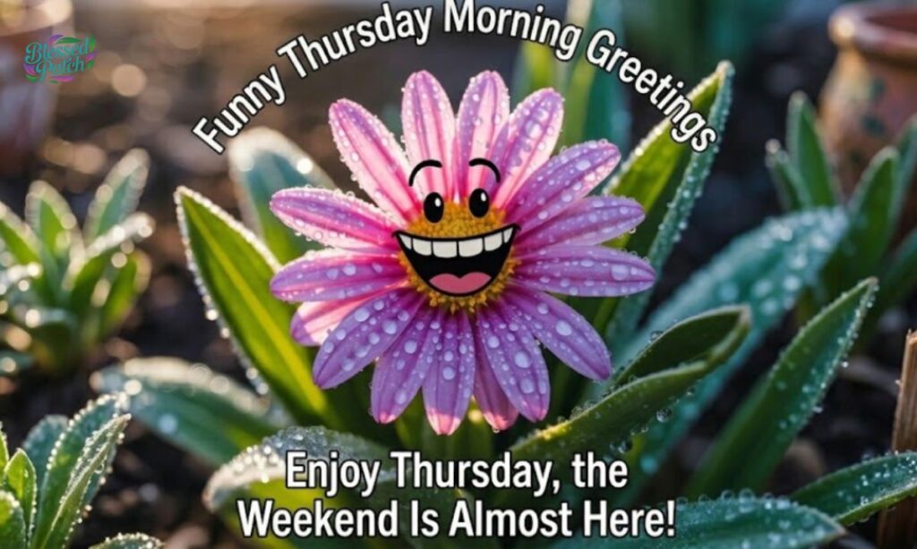 Funny Thursday Morning Greetings