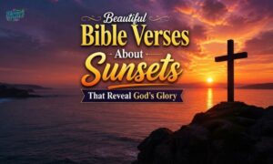 Beautiful Bible Verses About Sunsets